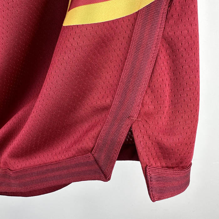 Short Cleveland Cavaliers Icon Edition