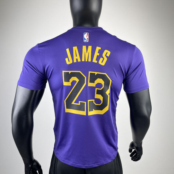 Camiseta  Los Angeles Lakers LeBron James 23 DRI-FIT Roxa