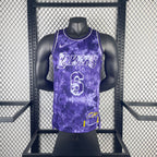 Regata  Los Angeles Lakers Select Edition 22/23 LeBron James
