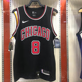 Regata  Chicago Bulls Scottie Zach LaVine