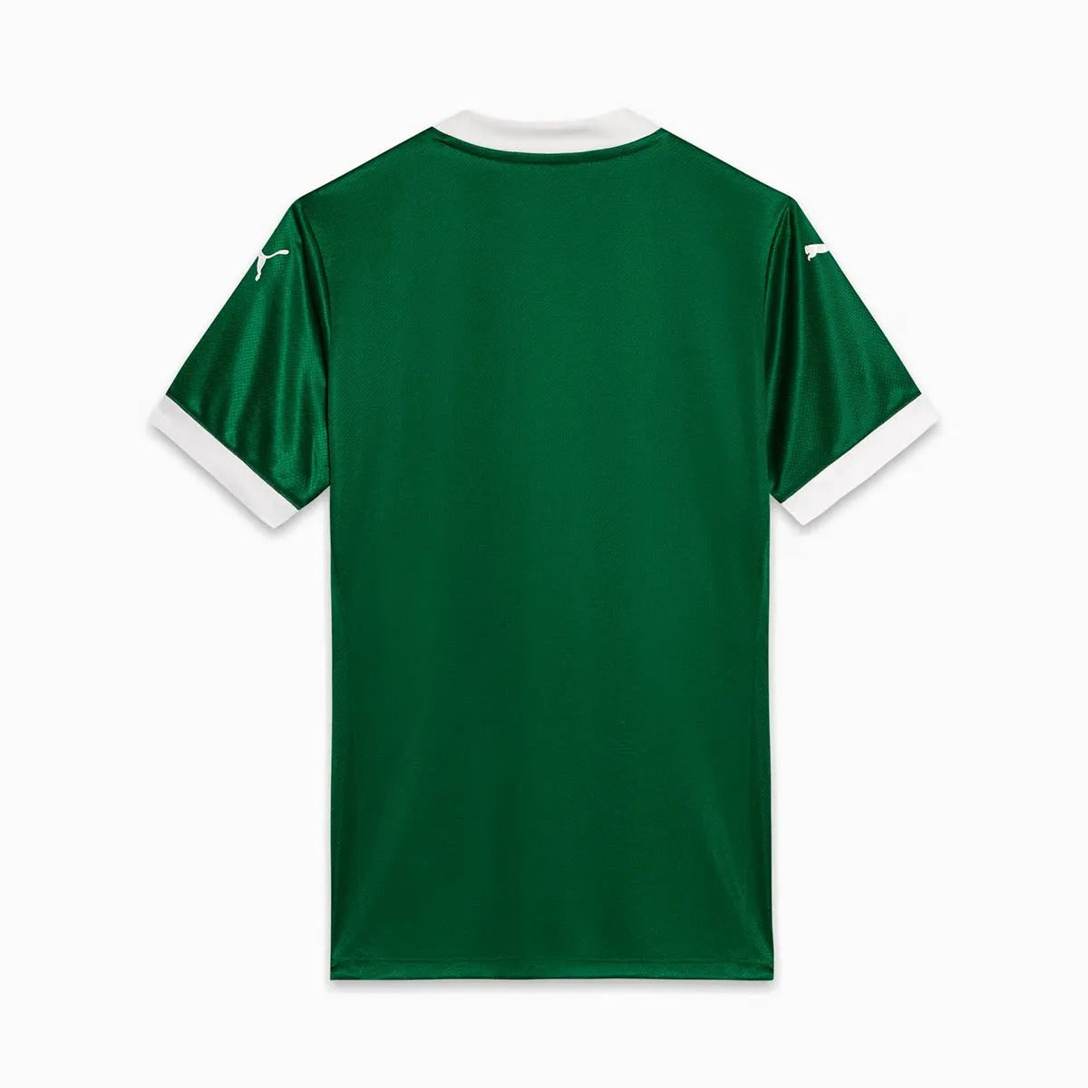 Camisa Palmeiras I 25/26 Verde Masculina